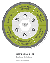 life-principles