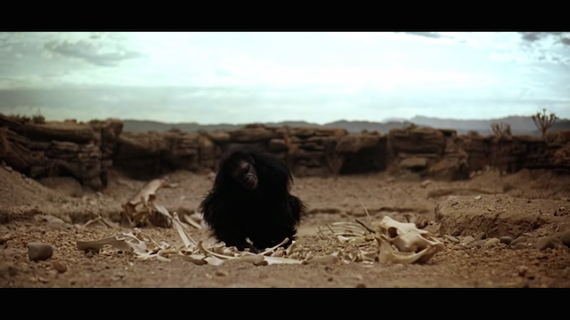 2001: A Space Odyssey - The Dawn of Man