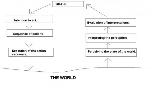 The Seven Step Action Cycle